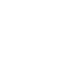 Virgin Mobile