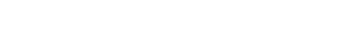 Visual Sector