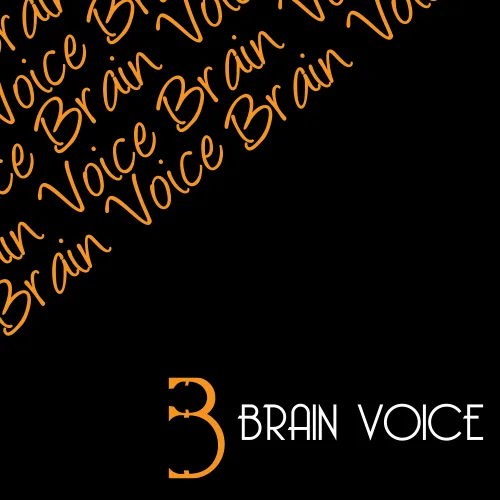 Brain Voice Studio, image 2