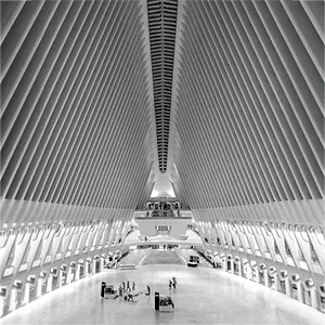 New York City, image 3